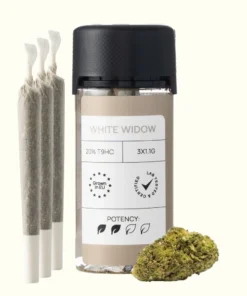 Buy Light Pre-Rolls Online Europe