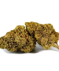 Buy AK-47 CBD Online