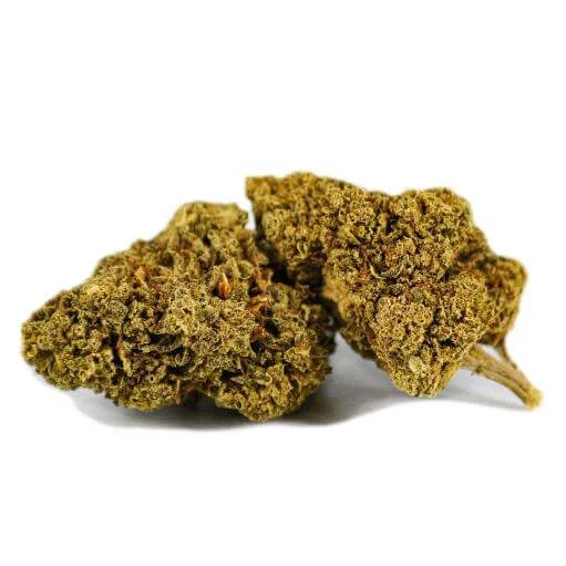 CBD Buds
