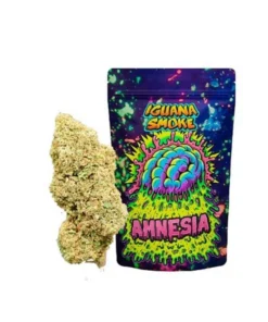 Buy Amnesia CBD Online