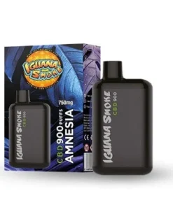 Buy Amnesia Pod Pocket 750mg Online