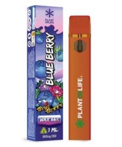 Buy CBD 66% Blueberry Disposable Vaporizer