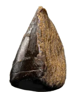 Buy Jamaican Hash CBD online