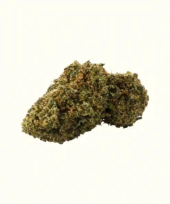 Buy Gelato x 30% Online Europe