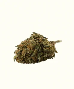 Buy Lemon Cookies x 40% Online Europe