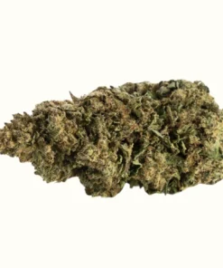 Buy White Widow x 30% Online Europe