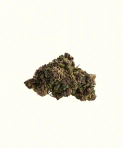 Buy PURPLE HAZE X 30% Online