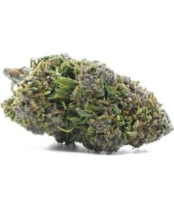 Buy Black Afghan CBD Online