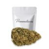 Buy Blueberry Kush Online