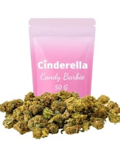 Buy Candy Barbie Small Buds Cinderella Online