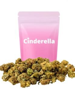 Buy Candy Barbie Small Buds Cinderella Online