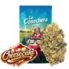 Buy Cheesecake CBD Online