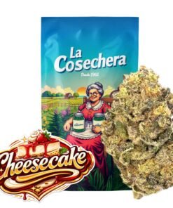 Buy Cheesecake CBD Online