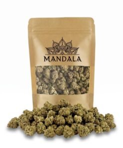Buy Coco Mini Buds Online
