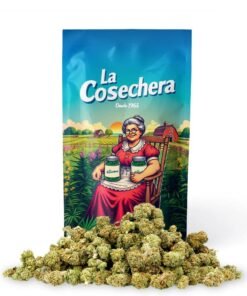 Buy Critical+ Online in Europe