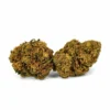 Buy Critical Jack CBD Online