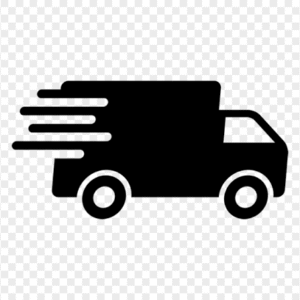 fast delivery b