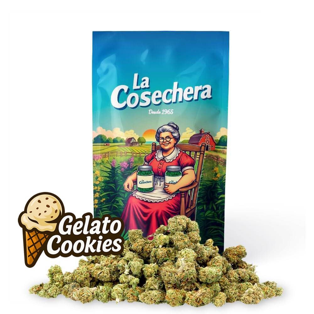 Buy Gelato Cookies Small Buds
