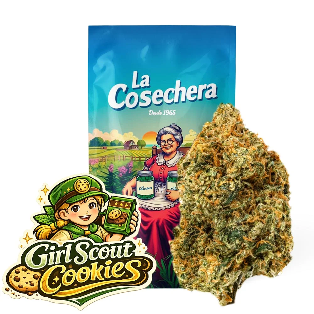 Buy Girl Scout Cookies CBD Online