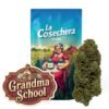 Buy Grandma School CBD Online