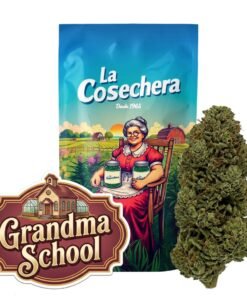 Buy Grandma School CBD Online