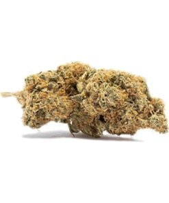Buy Idukki Gold CBD Online