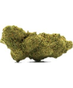 Buy Jack Flash CBD Online