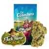 Buy Jack Herer CBD Online