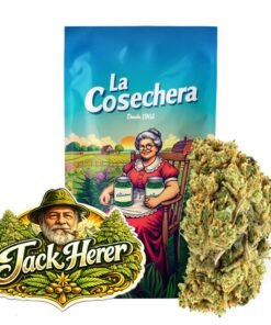 Buy Jack Herer CBD Online