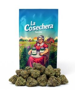 Buy Jealousy CBD Online