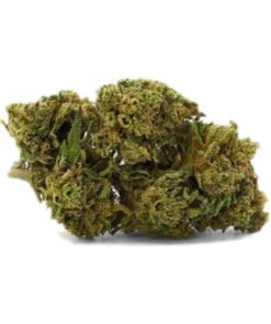 Buy Larry OG Online