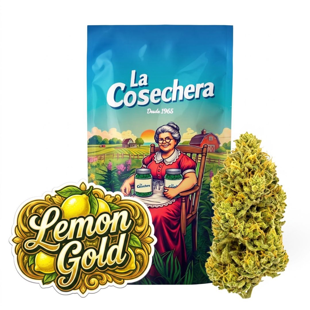 Buy Lemon Gold CBD Online