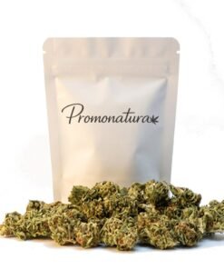 Buy Mazar CBD Online