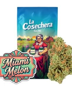 Buy Miami Melon CBD Online