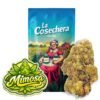 Buy Mimosa CBD Online
