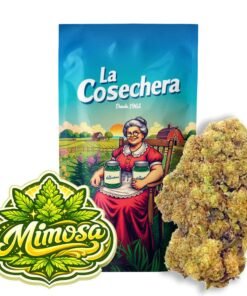 Buy Mimosa CBD Online