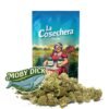Buy Moby Dick CBD Online