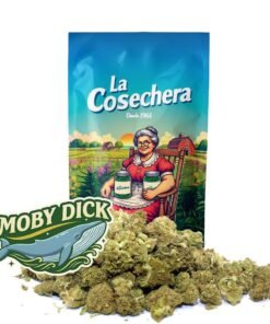 Buy Moby Dick CBD Online