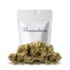 Buy Orange Bud CBD Online