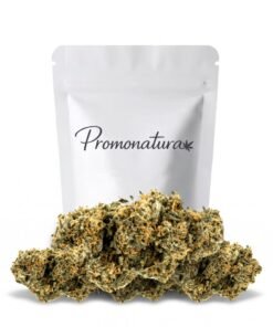 Buy Orange Bud CBD Online