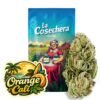 Buy Orange Cali CBD Online