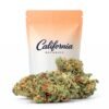 Buy Orange Sherbet Hydroponic Online