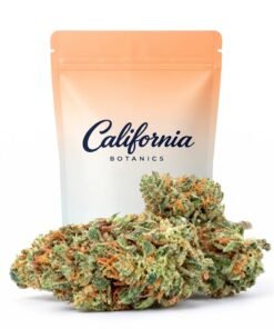 Buy Orange Sherbet Hydroponic Online
