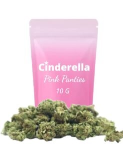 Buy Pink Panties Small Buds