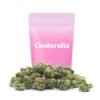 Buy Pink Panties Small Buds