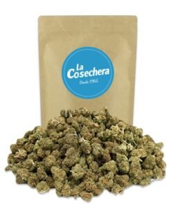 Buy Popcorn Mix CBD Online