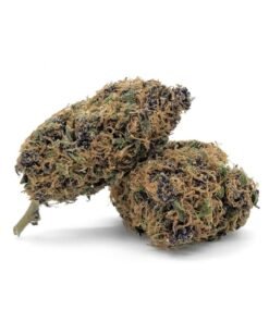Buy Purple Haze CBD Online
