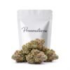 Buy Runtz CBD Online