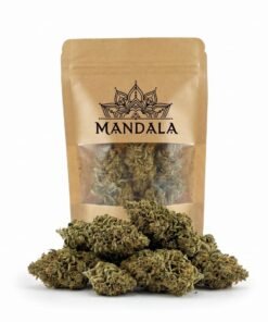 Buy Shiva Flower CBD Online in Europe