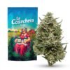 Buy Silver Punch CBD Online